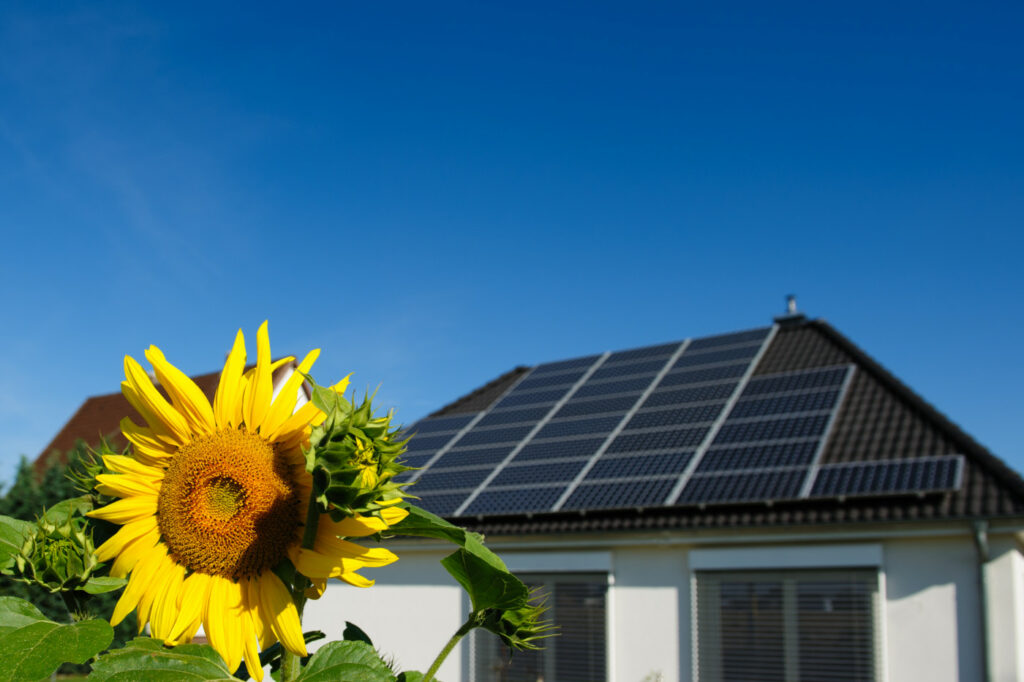 Harnessing the Power of the Sun Why Solar Energy is the Way Forward for Homeowners